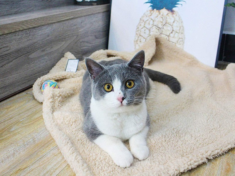 Plush Pet Blanket Dog Mat Cat Mat Pet Air Conditioning Mat Pet Plush Mat - photo 2
