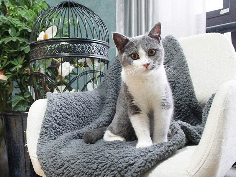Plush Pet Blanket Dog Mat Cat Mat Pet Air Conditioning Mat Pet Plush Mat - photo 5