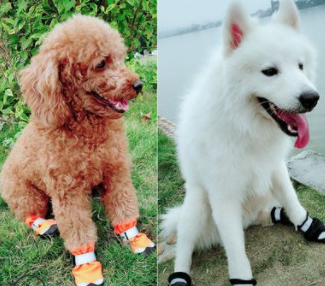 Winter Dog Shoes Reflective Warm Pet Dog Boots Waterproof Dog Rain Shoes - photo 4