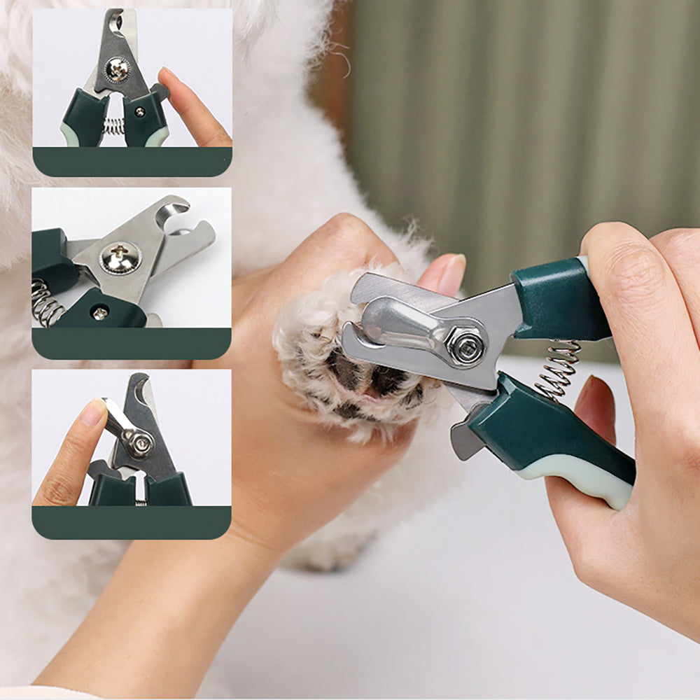 Dog Clippers, Professional Dog Grooming Kit, Cordless Dog Grooming Clippers For Thick Coats, Dog Hair Trimmer, Low Noise Dog Shaver Clippers, Quiet Pet Hair Clippers For Dogs Cats  Dog Grooming Kit - photo 6