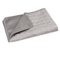 Ice Silk Pet Cooling Mat