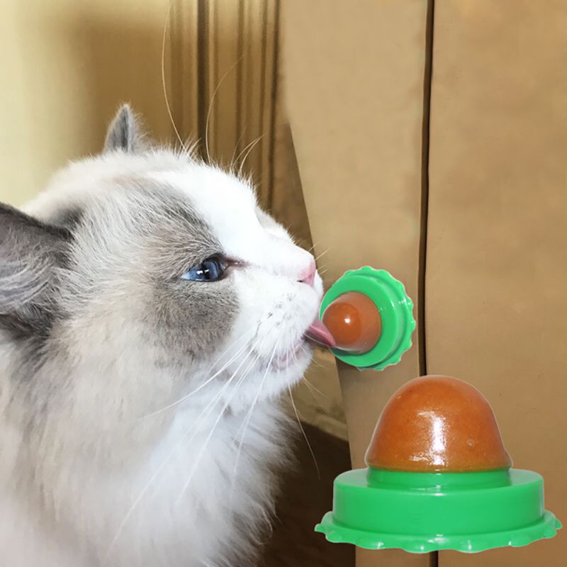 Pet Cat Sugar Energy Ball Lick Toys Catnip - photo 18