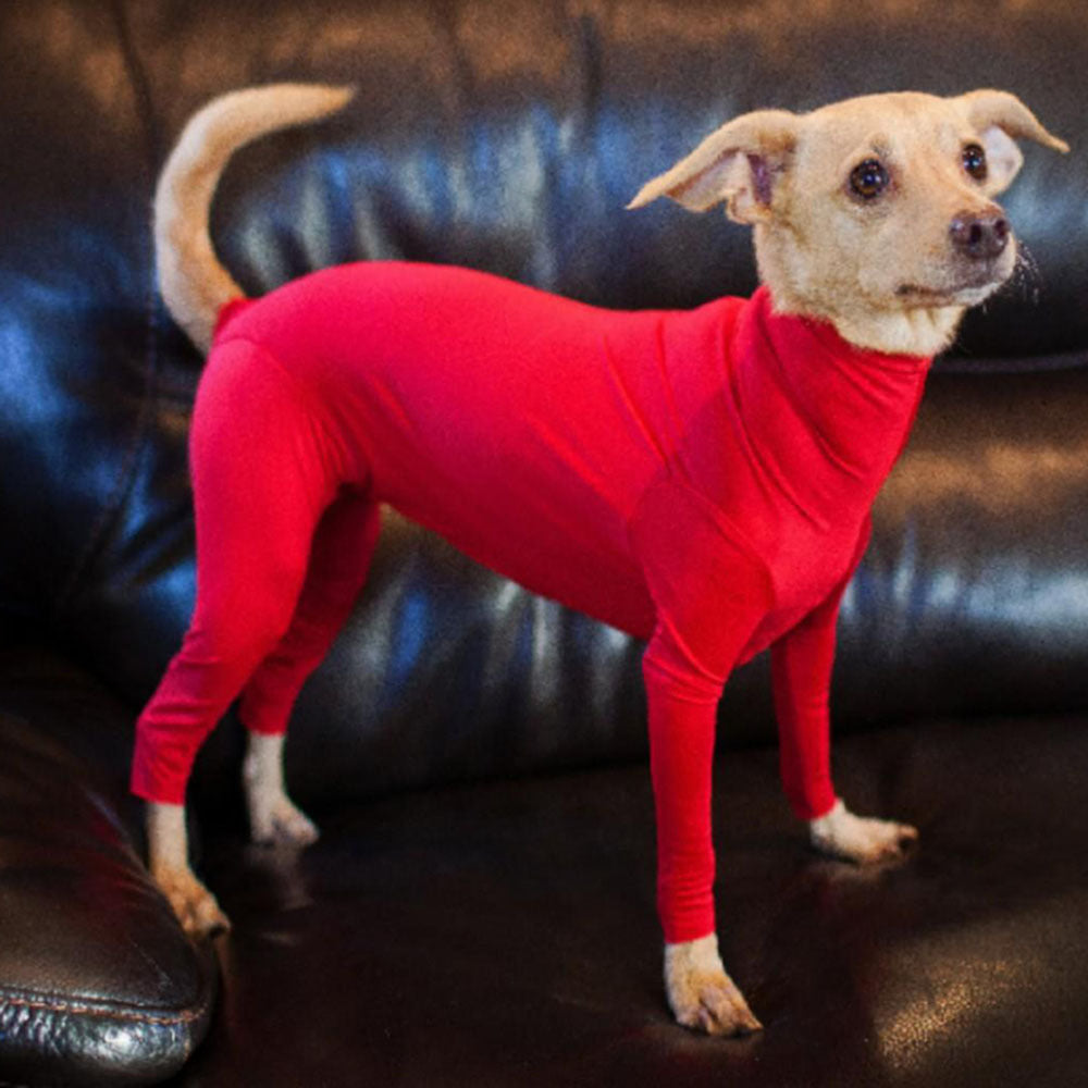 Calming Anxiety Jumpsuit for Dogs - photo 15