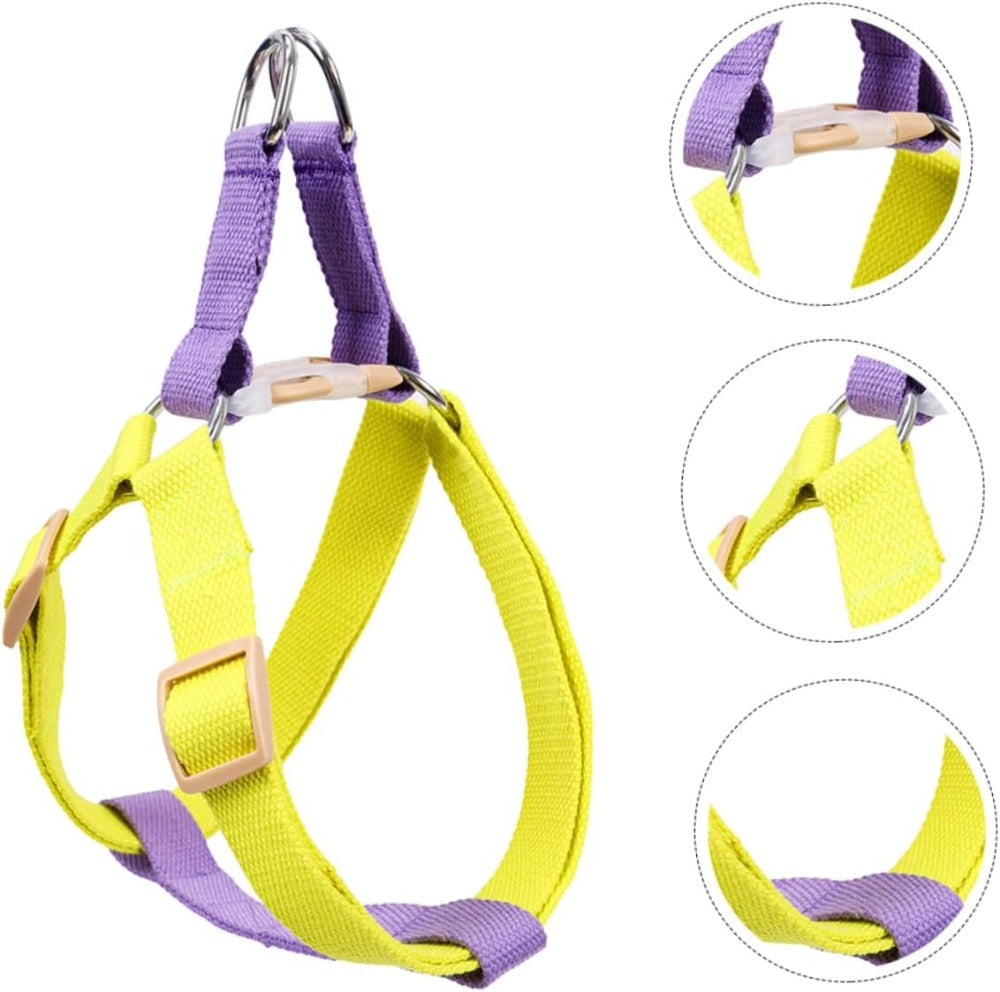 No-Pull Harness & Leash for Small Dogs - photo 5