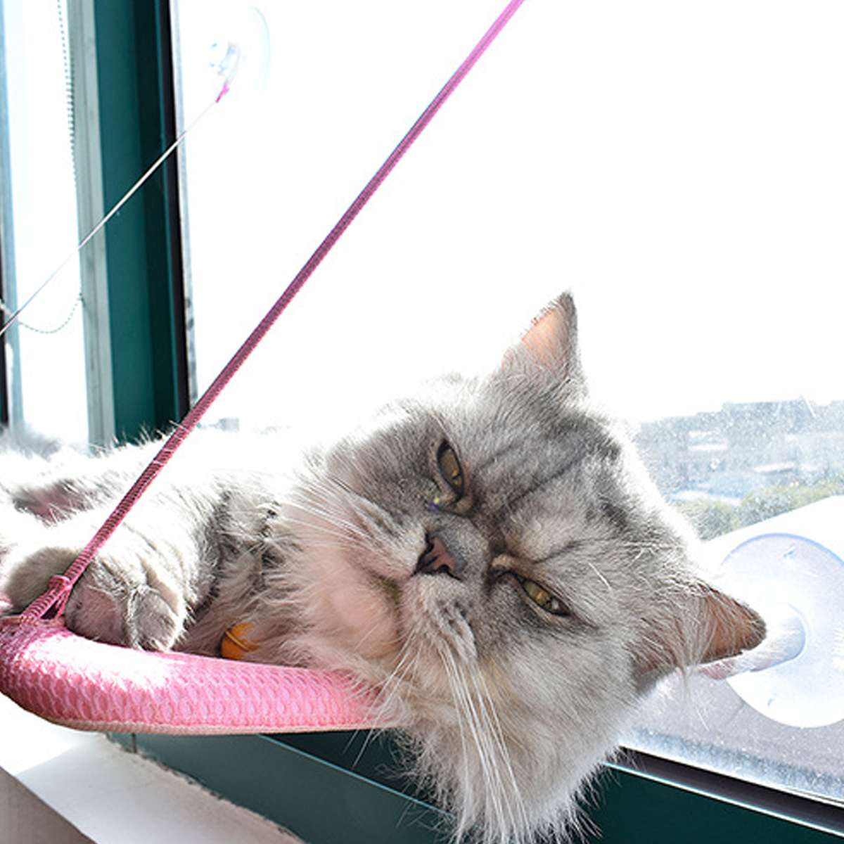 Suction Cup Pet Hanging Bed