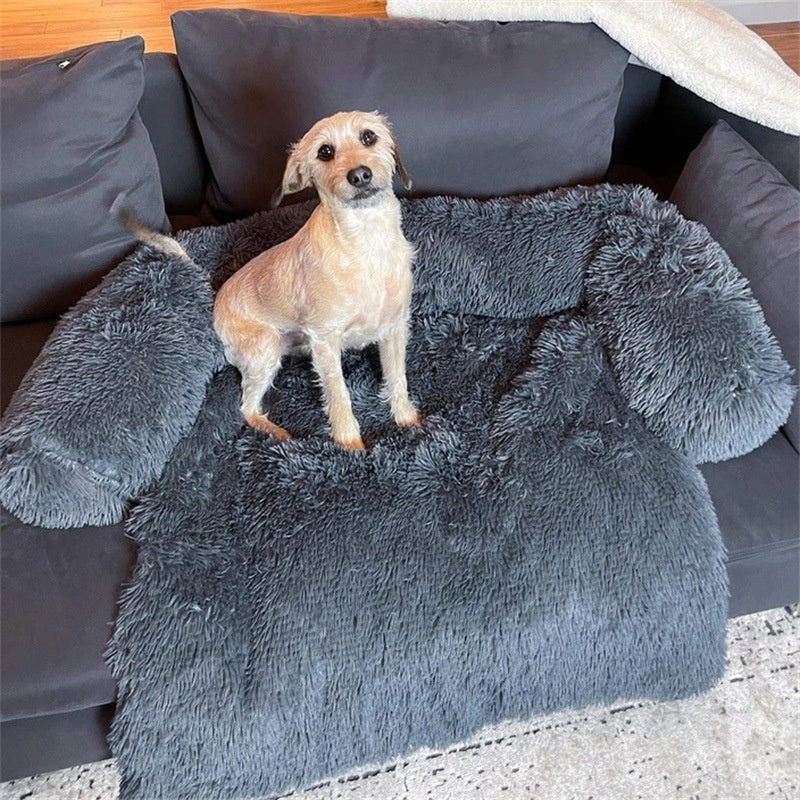 Cuccia per cani