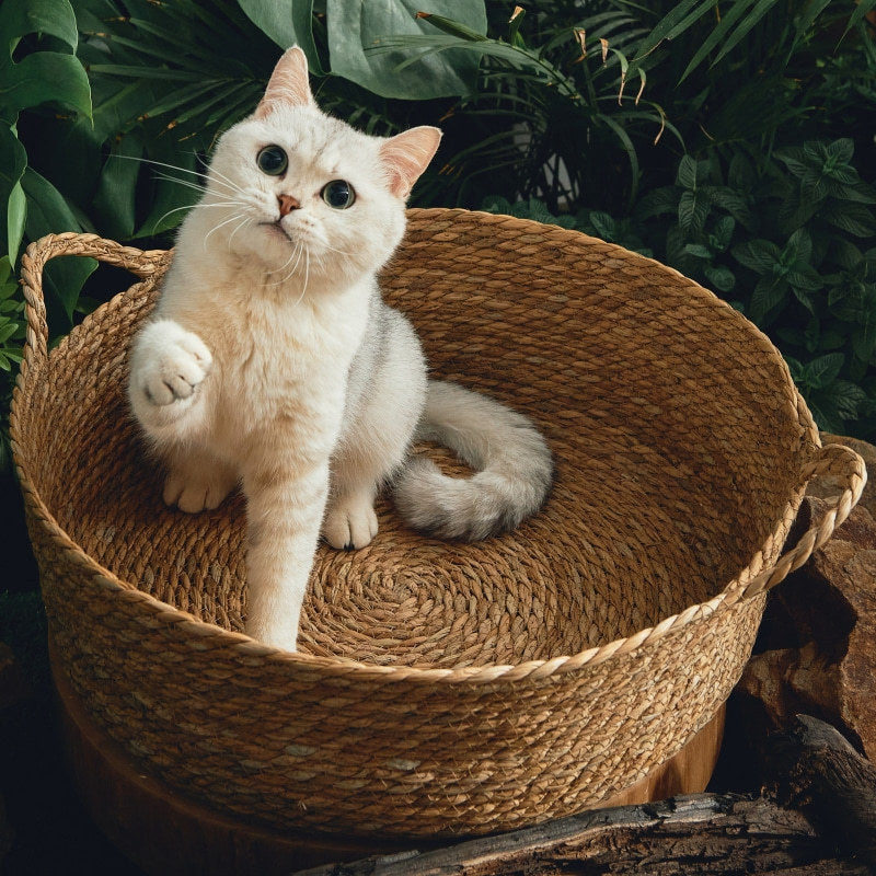 Rattan Cat Litter Mat - photo 5