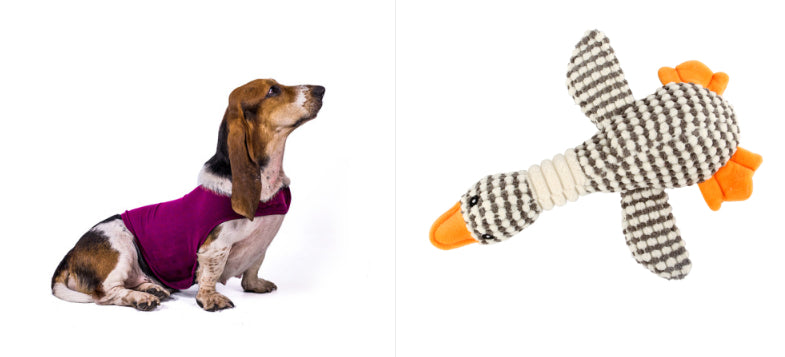 Calming Anxiety Vest for Dogs & Cats - photo 22