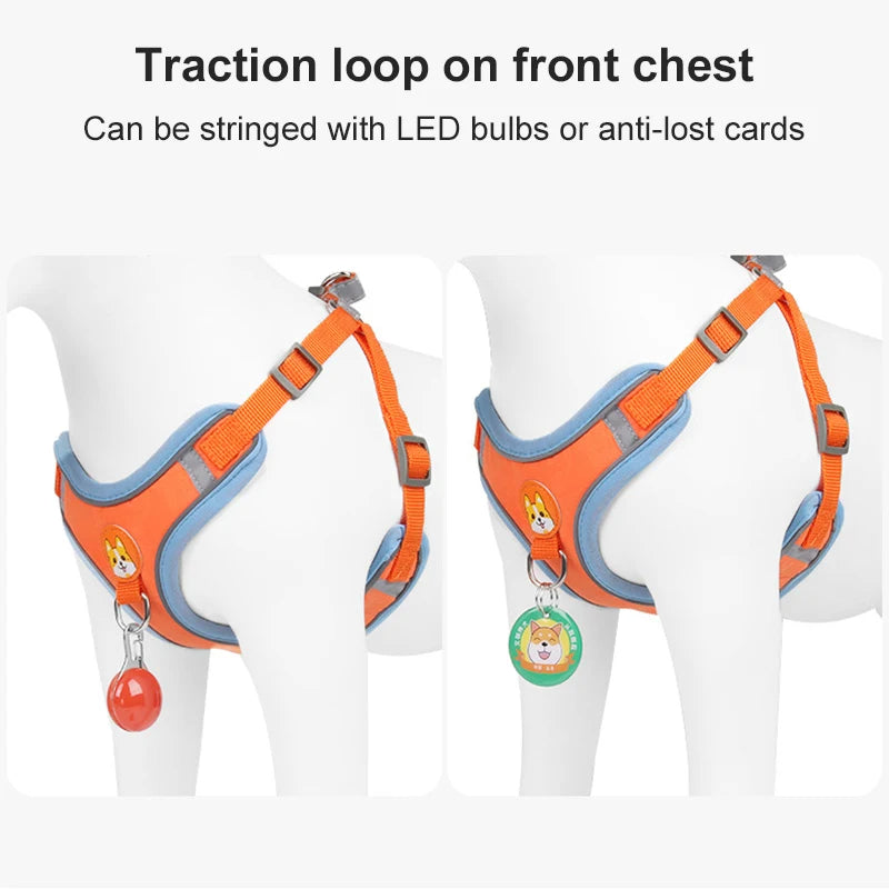 Reflective No-Pull Harness & Leash Set - photo 15