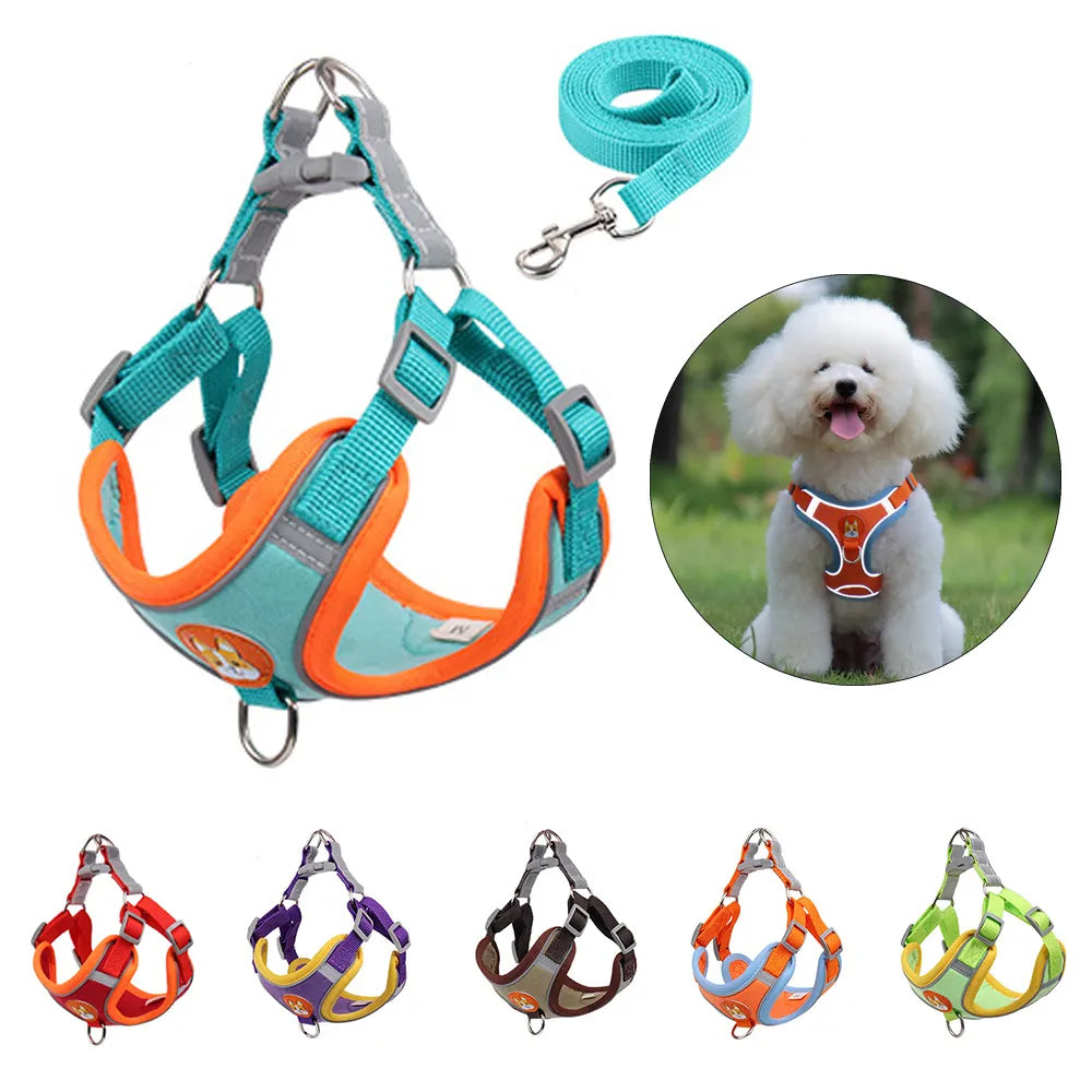 Reflective No-Pull Harness & Leash Set - photo 6