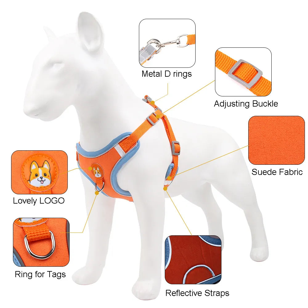 Reflective No-Pull Harness & Leash Set - photo 14