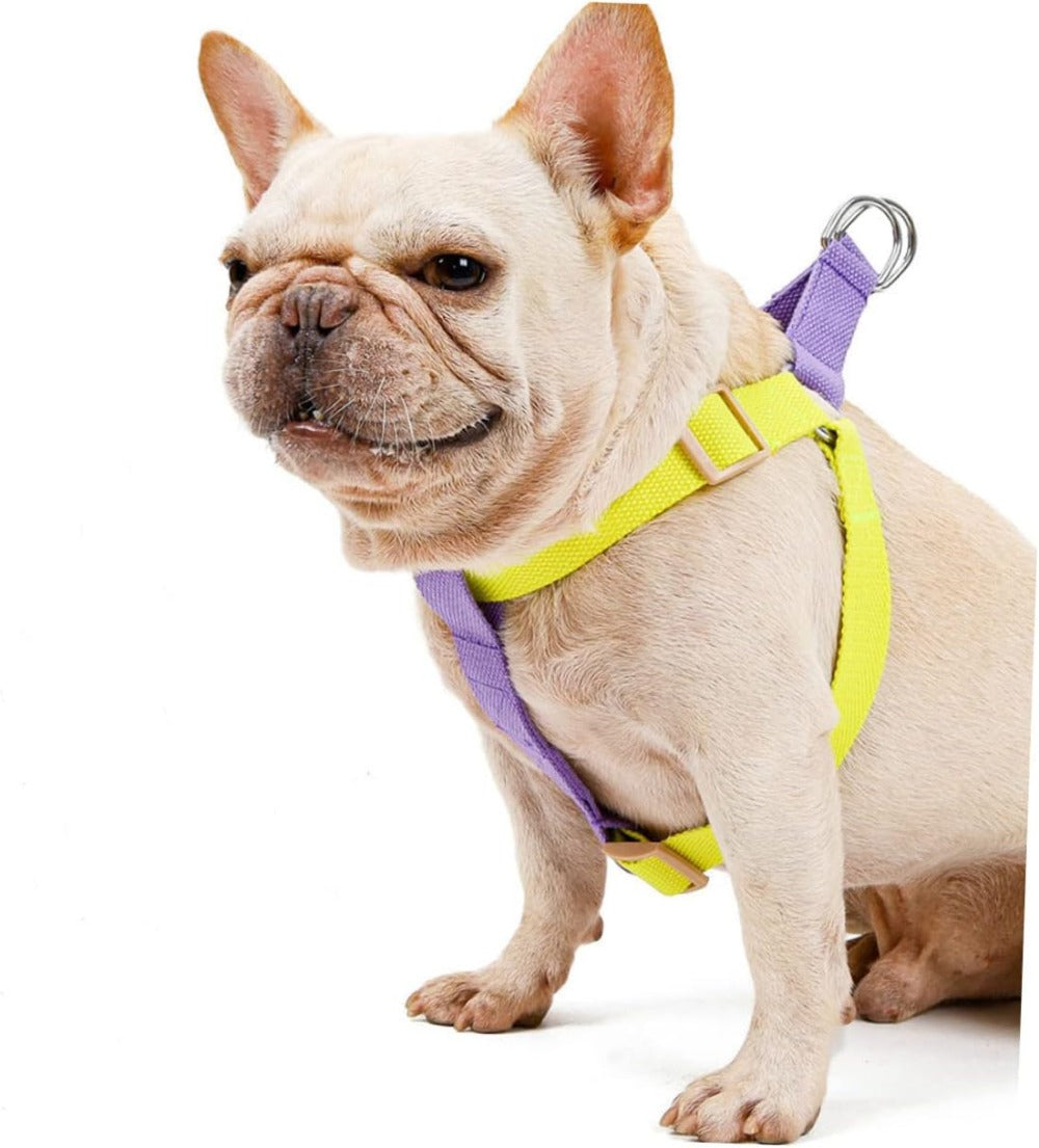 No-Pull Harness & Leash for Small Dogs - photo 7