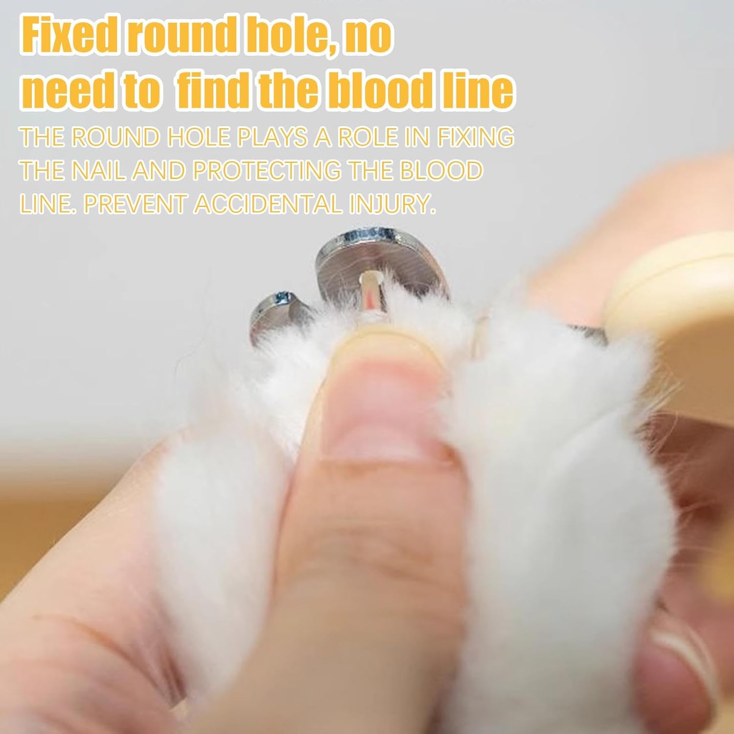 Pet Nail Clippers, Best Cat Nail Clippers And Claw Trimmer, Portable Cat Clippers Paw Trimmer, Special Grooming Tool, Professional Pet Nail Clippers Best For A Cat, Puppy, Kitten & Small Dog - photo 7