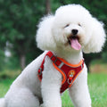 Reflective No-Pull Harness & Leash Set
