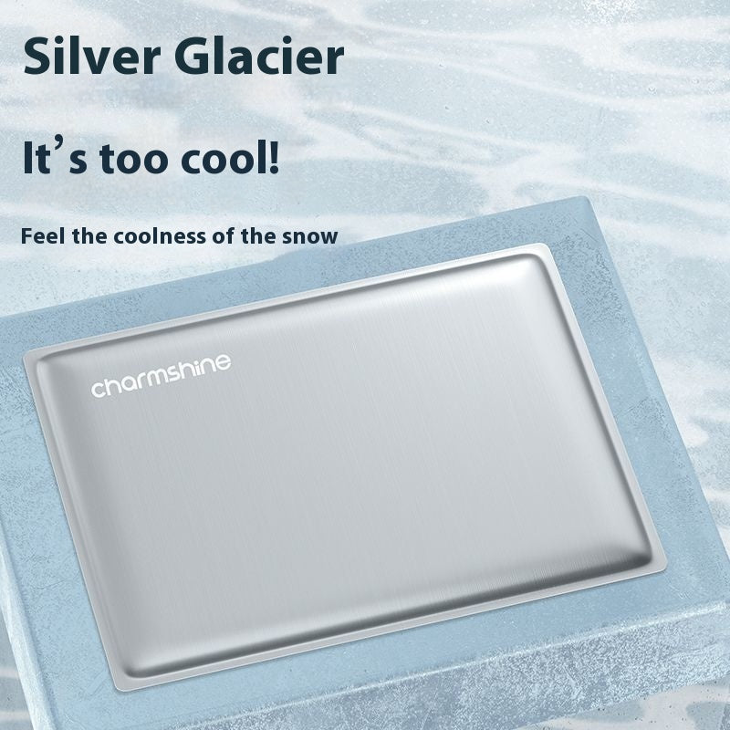 Dog Cooling Ice Pad - photo 3