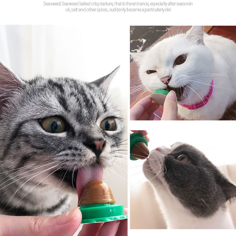 Pet Cat Sugar Energy Ball Lick Toys Catnip - photo 24