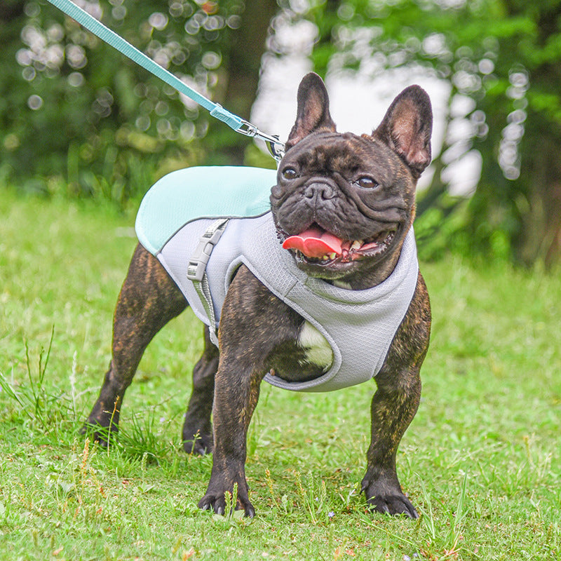 Summer Pet Outdoor Breathable Cooling Vest - photo 7