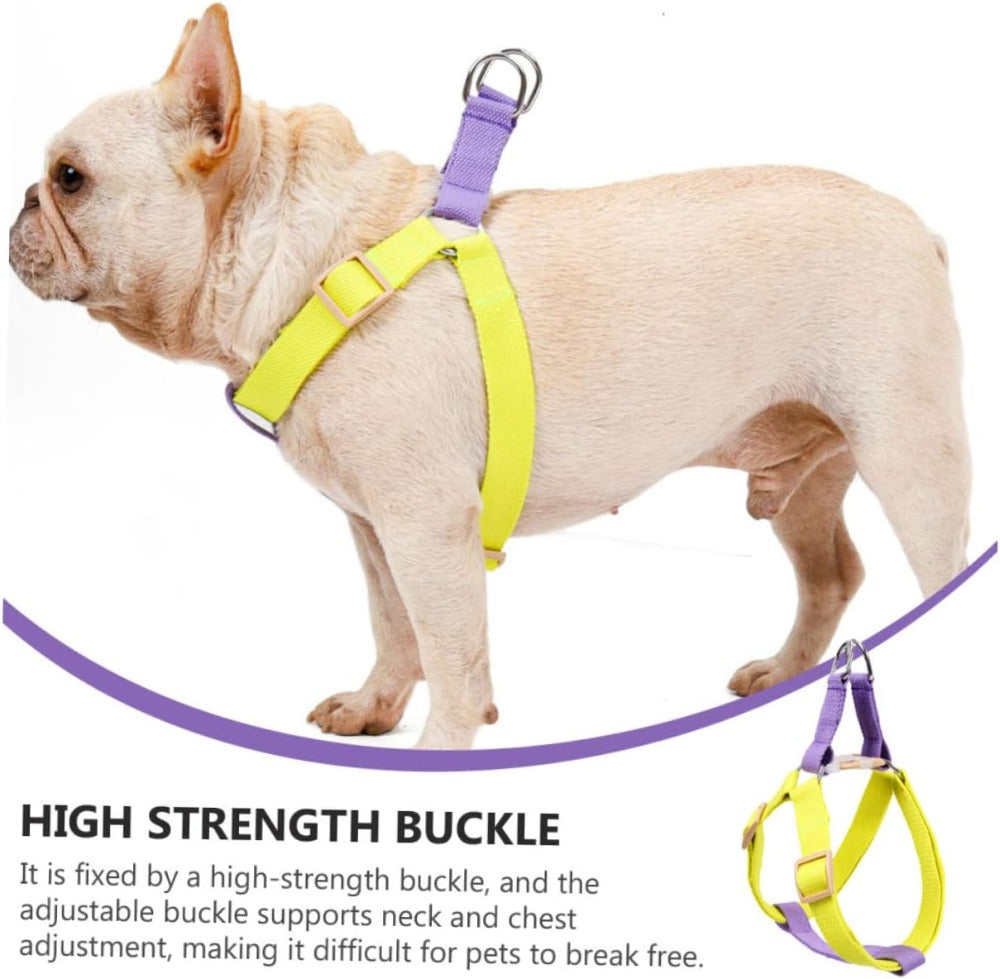 No-Pull Harness & Leash for Small Dogs - photo 2