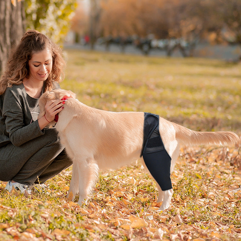 Dog Knee Brace for Joint Recovery - photo 8