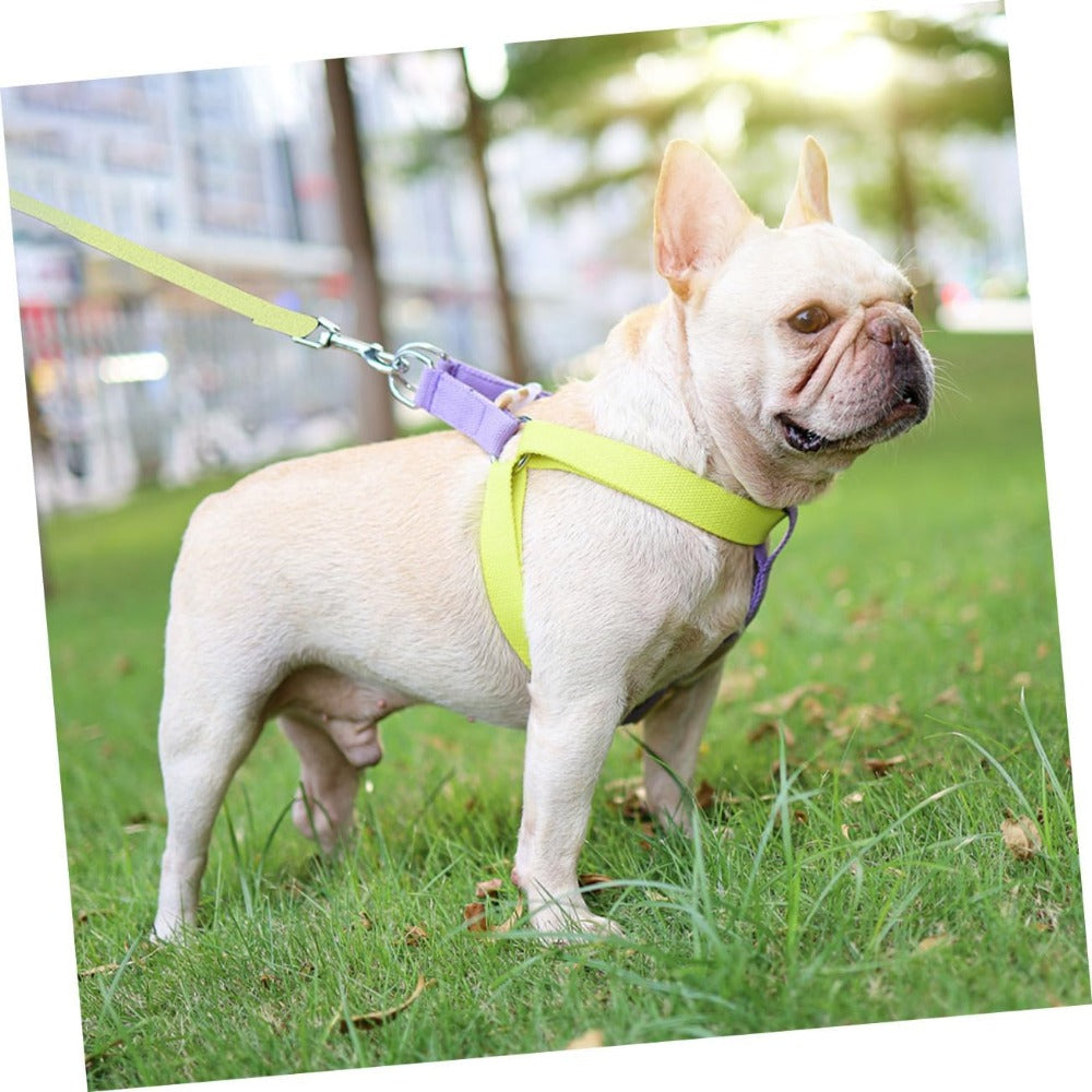 No-Pull Harness & Leash for Small Dogs - photo 6