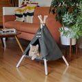 Cat Tent Bed