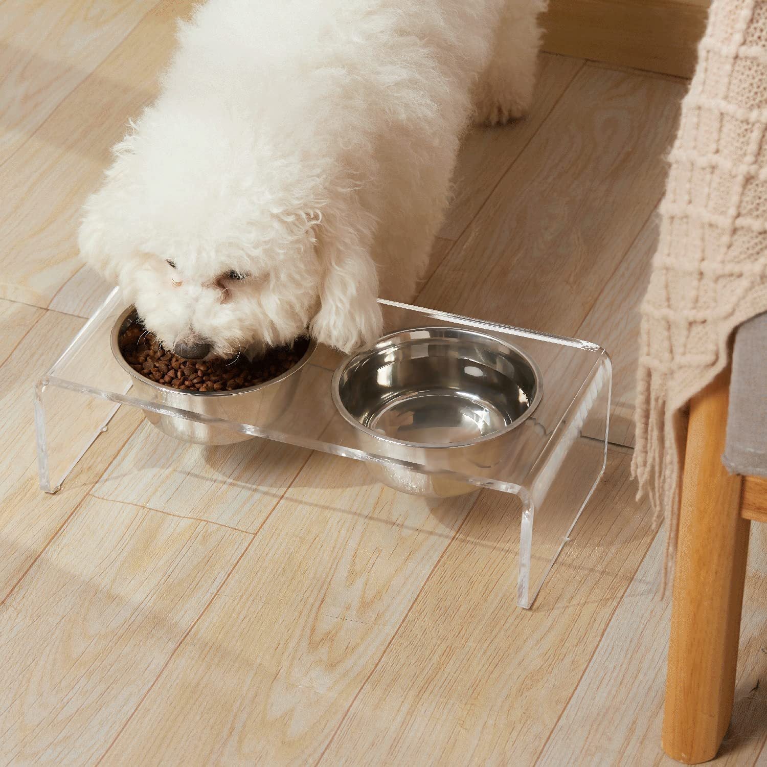 Elevated Acrylic Pet Feeder - photo 6
