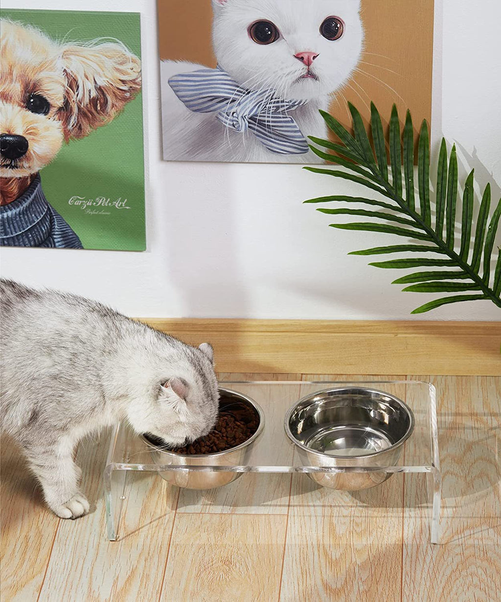 Elevated Acrylic Pet Feeder - photo 3