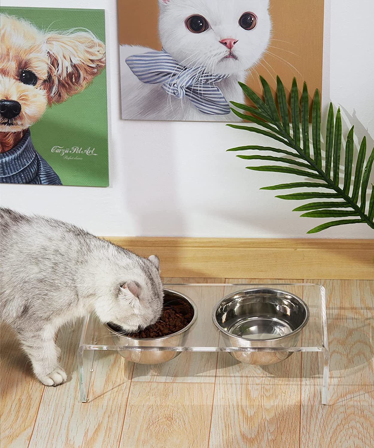 Elevated Acrylic Pet Feeder - photo 3