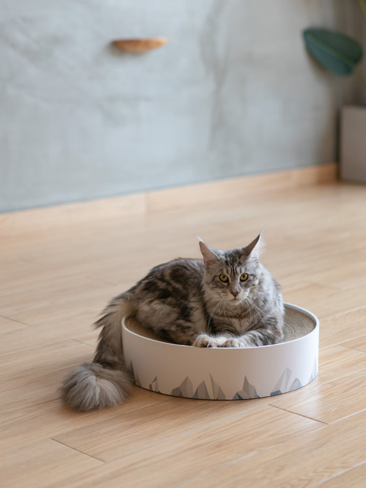 Corrugated Cat Scratcher Pad - photo 5
