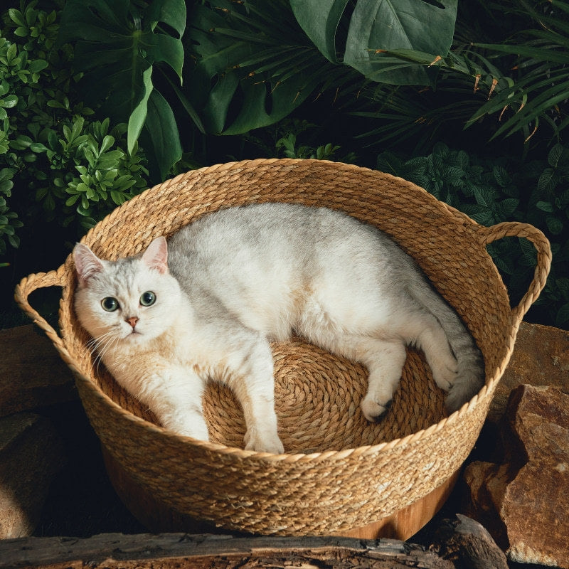 Rattan Cat Litter Mat - photo 2