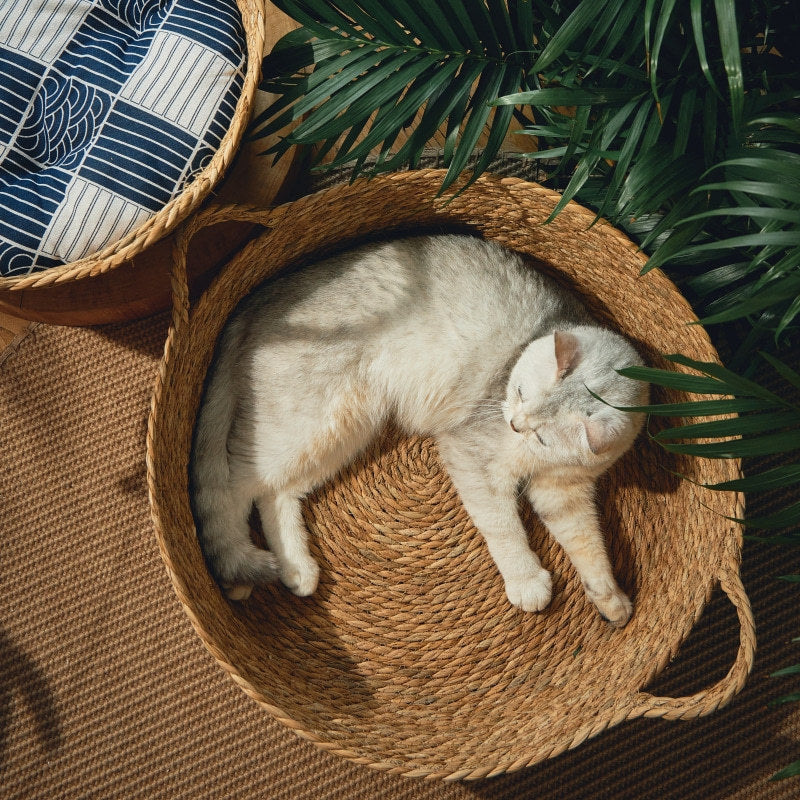 Rattan Cat Litter Mat - photo 3