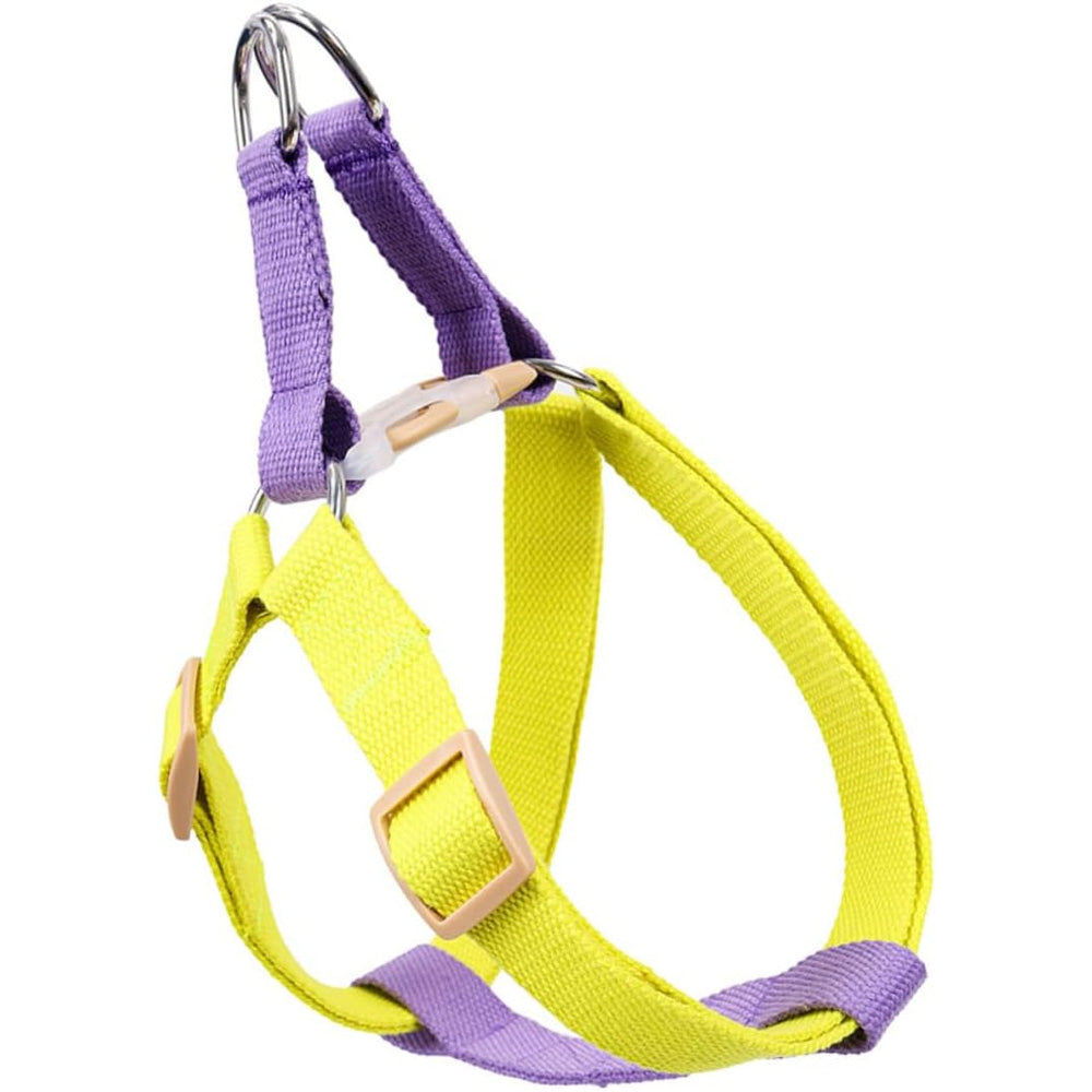No-Pull Harness & Leash for Small Dogs