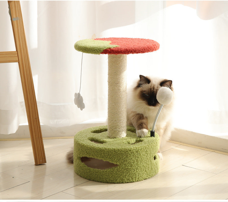 Kitten Cat Climbing Frame Small Cat Scratching Post Sisal Scratching Board - photo 11