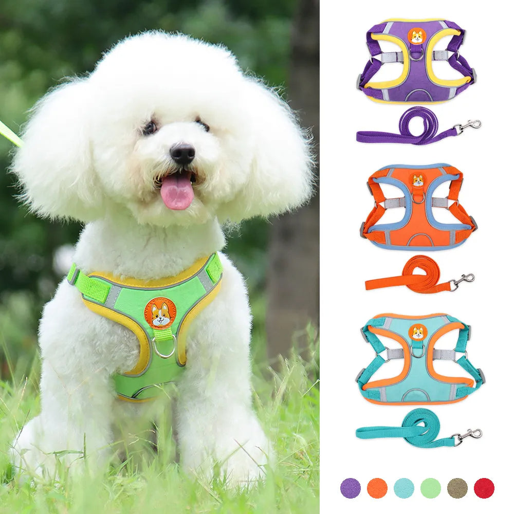 Reflective No-Pull Harness & Leash Set - photo 12