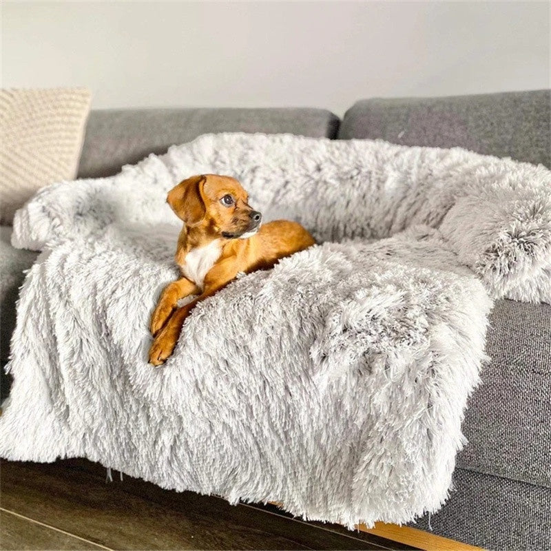 Cuccia per cani