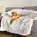 Cuccia per cani