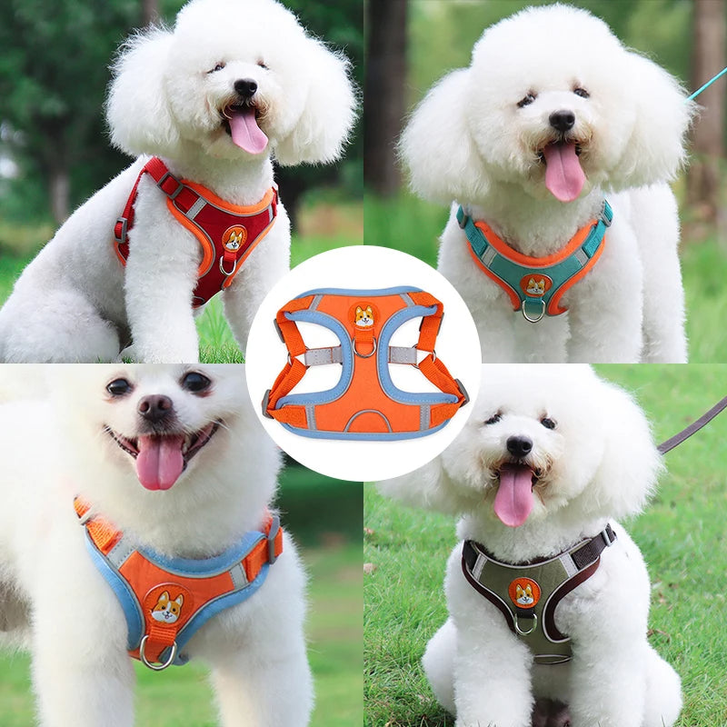 Reflective No-Pull Harness & Leash Set - photo 9