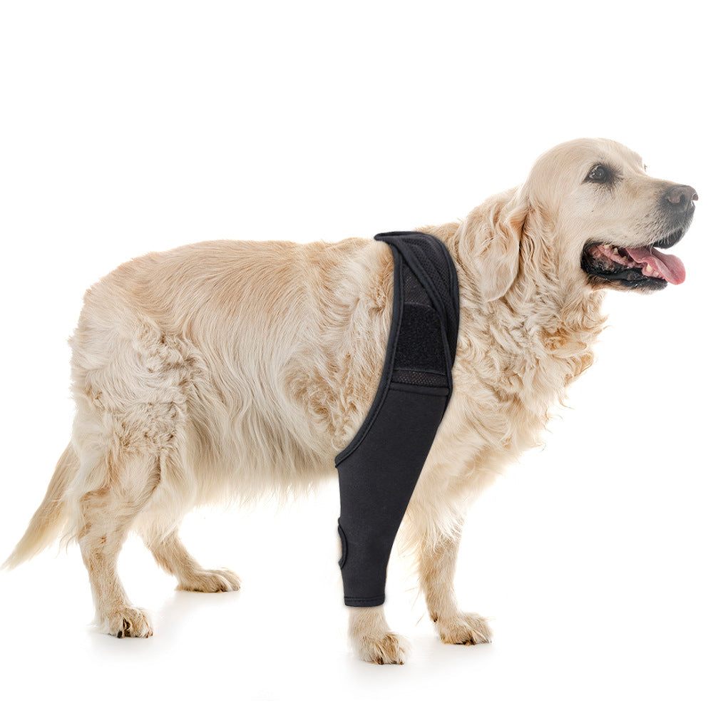Dog Knee Brace for Joint Recovery - photo 6
