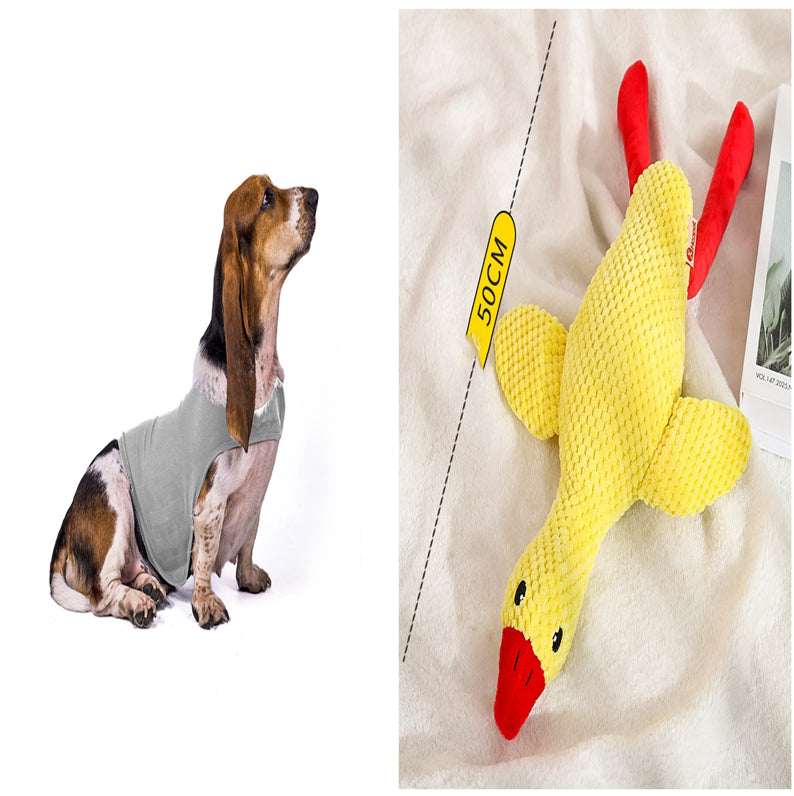 Calming Anxiety Vest for Dogs & Cats