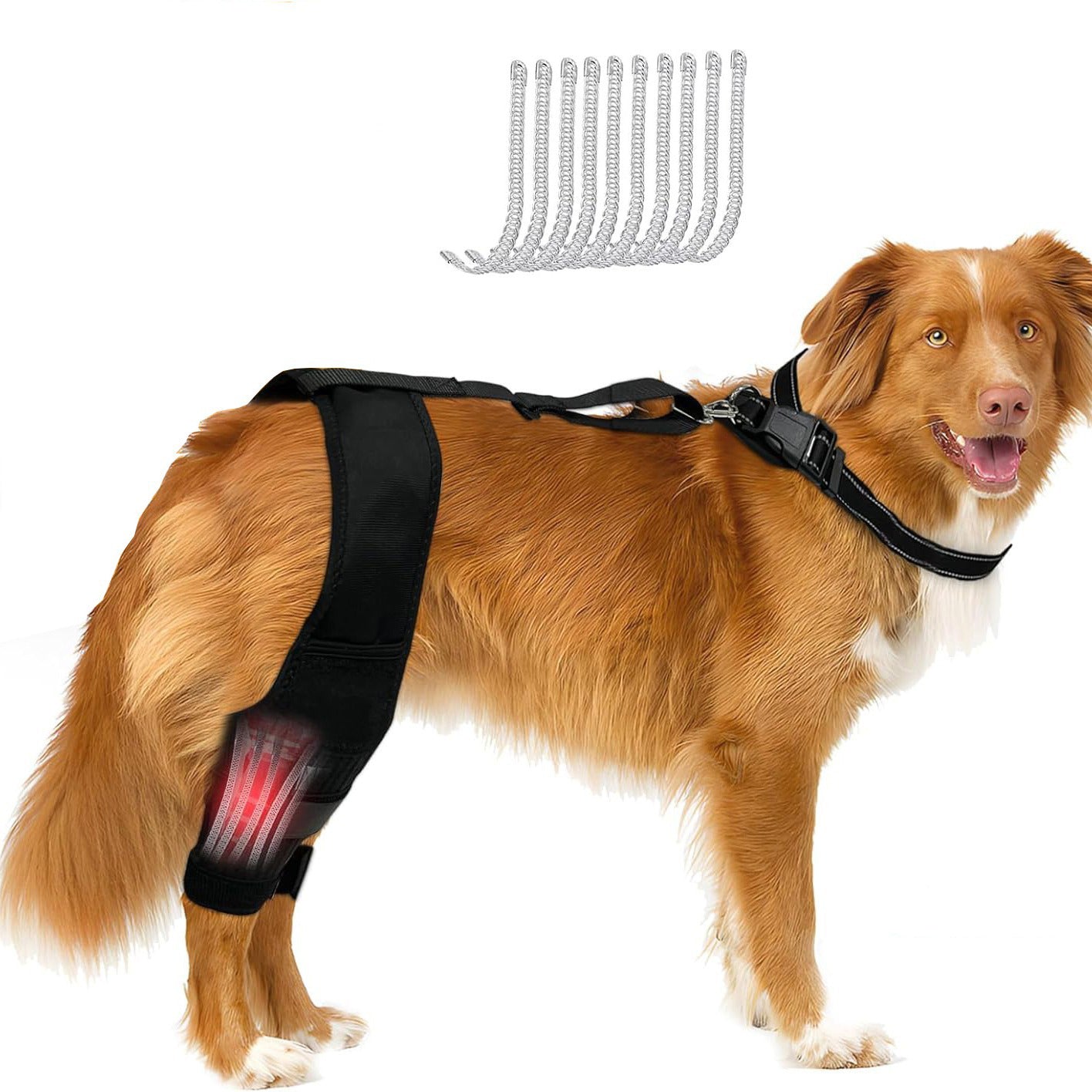 Dog Leg & Knee Support Brace - photo 7