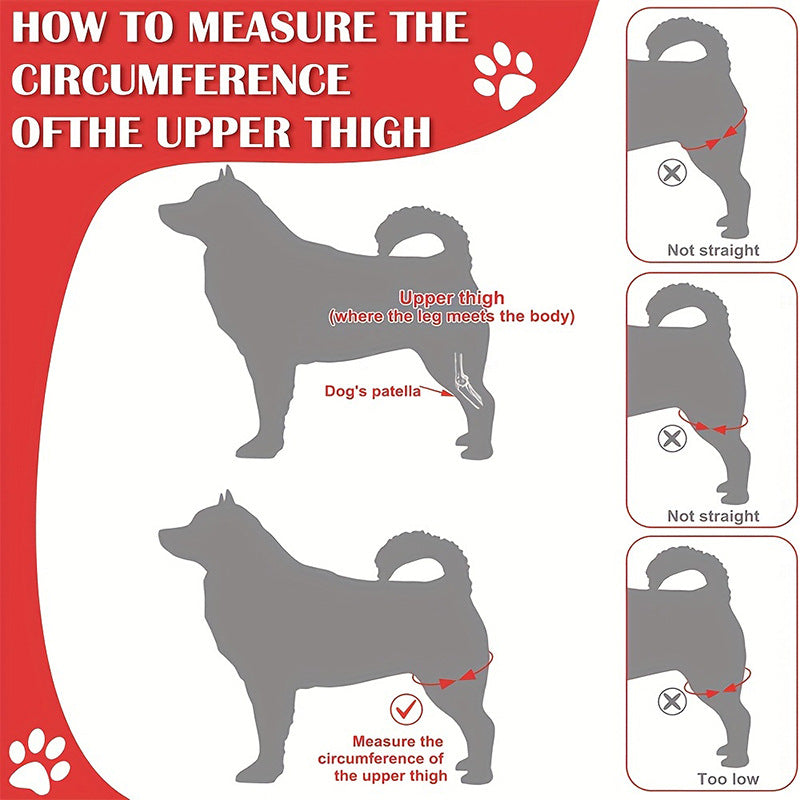 Dog Knee Brace for Joint Recovery - photo 3