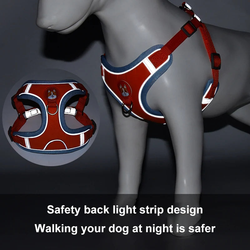 Reflective No-Pull Harness & Leash Set - photo 10