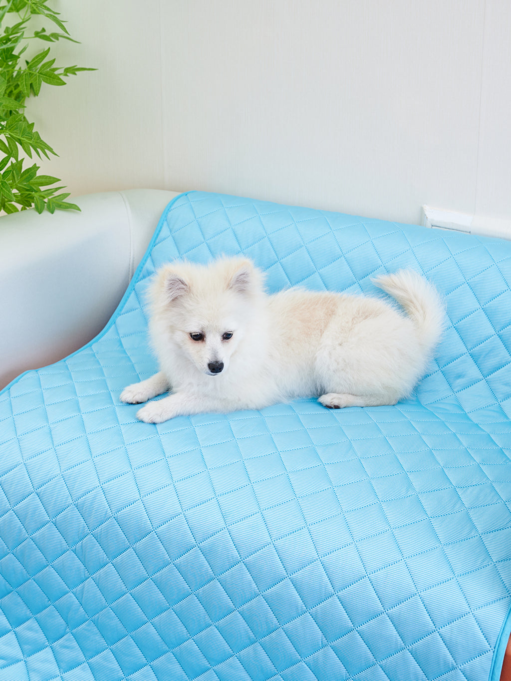 Waterproof Pet Cooling Mat & Pillow - photo 18