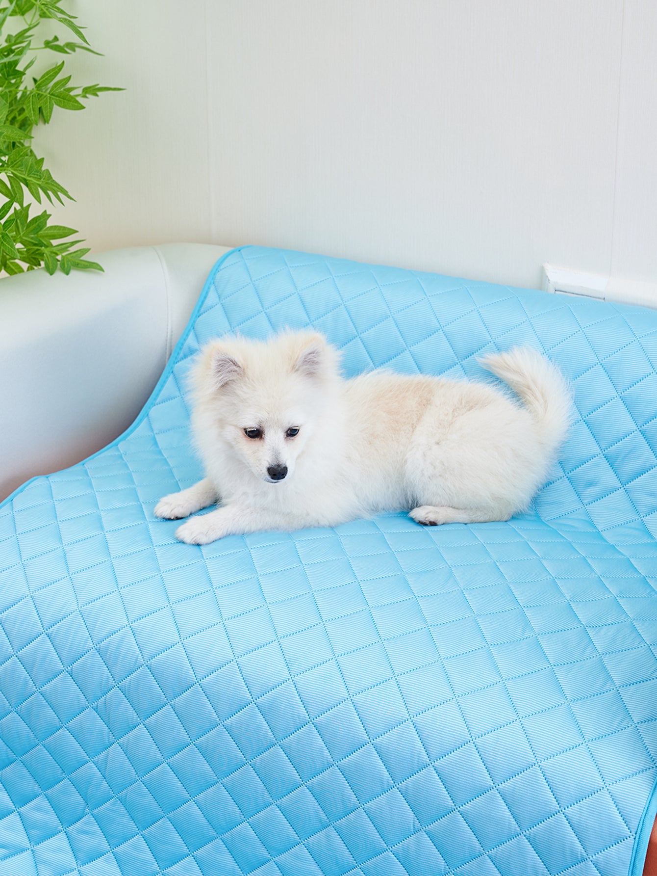 Waterproof Pet Cooling Mat & Pillow - photo 18