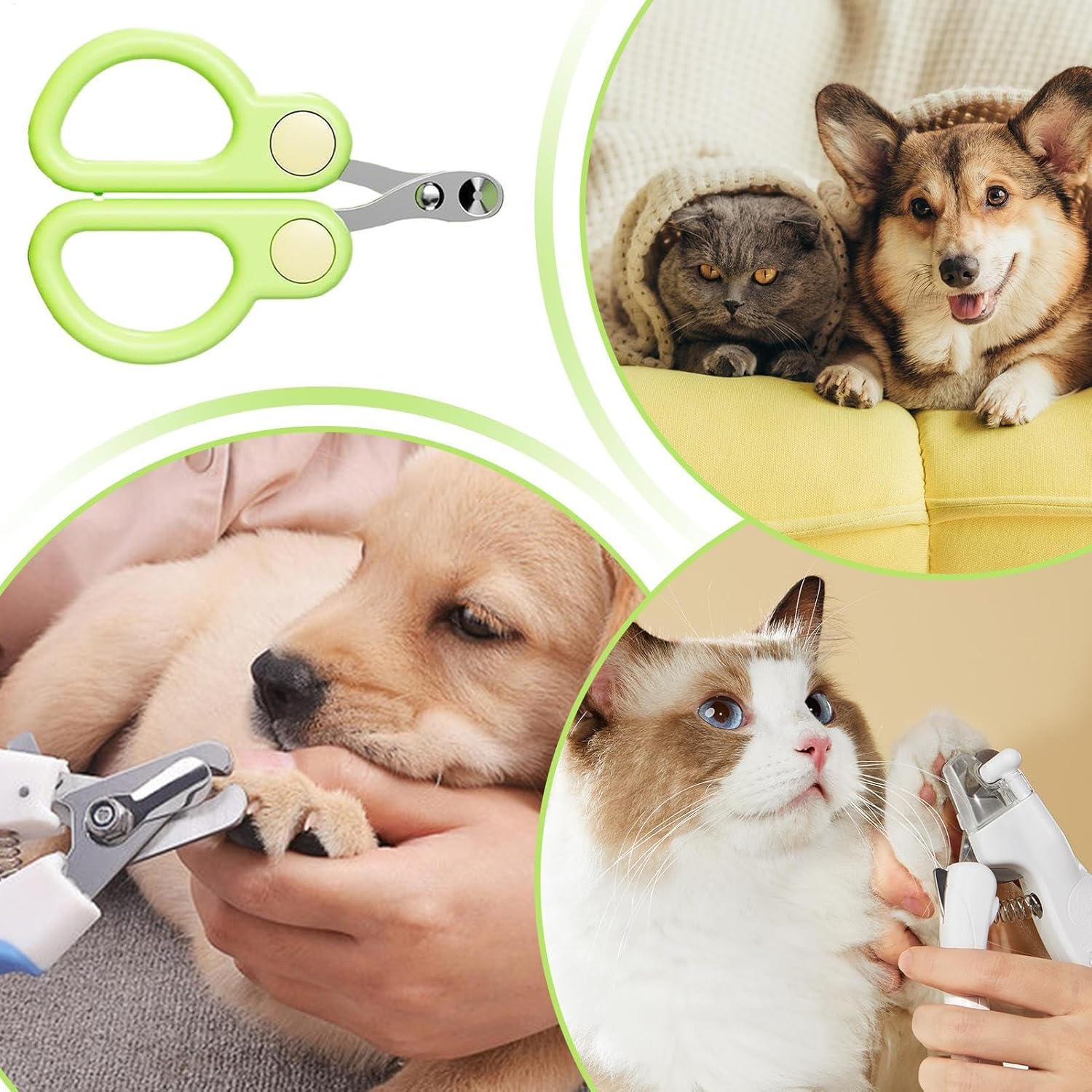 Pet Nail Clippers, Best Cat Nail Clippers And Claw Trimmer, Portable Cat Clippers Paw Trimmer, Special Grooming Tool, Professional Pet Nail Clippers Best For A Cat, Puppy, Kitten & Small Dog - photo 6