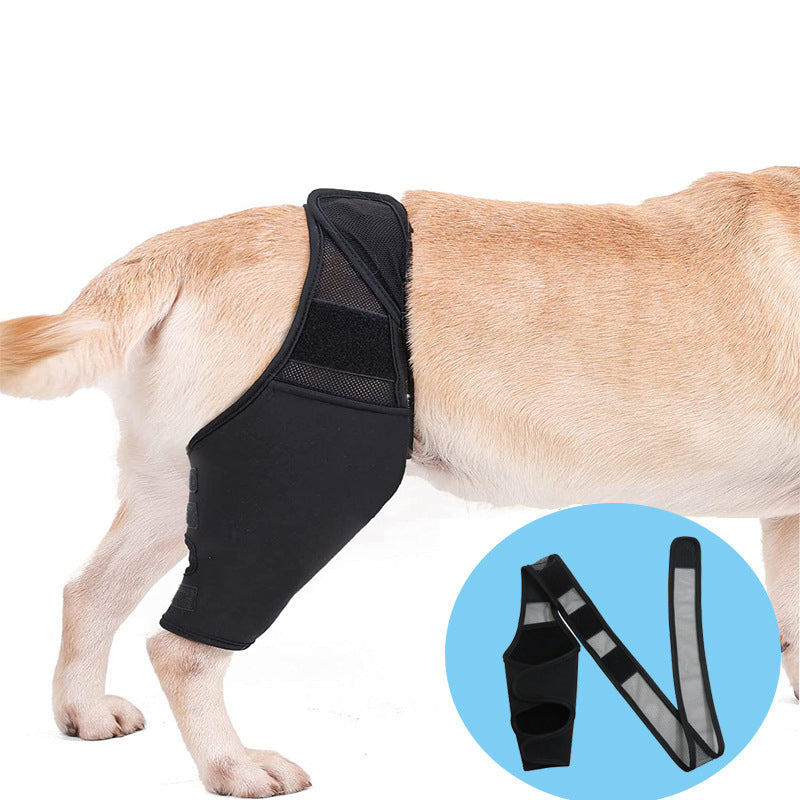 Dog Knee Brace for Joint Recovery - photo 4