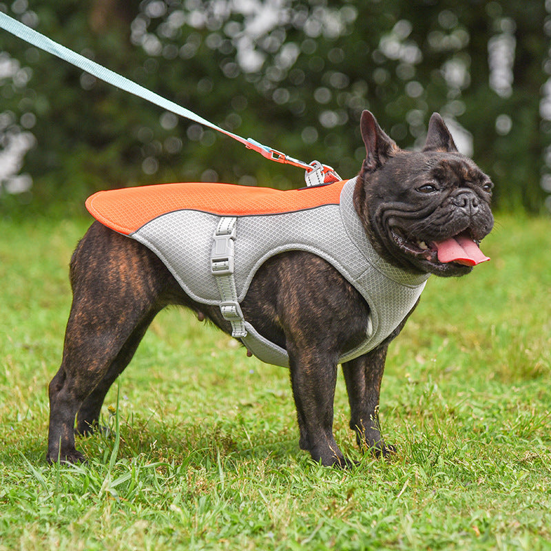 Summer Pet Outdoor Breathable Cooling Vest - photo 6